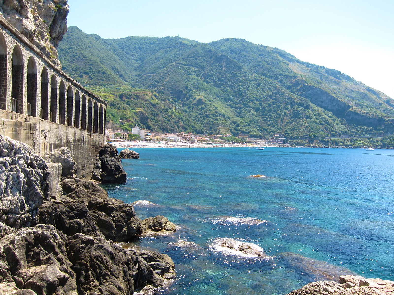 Scilla